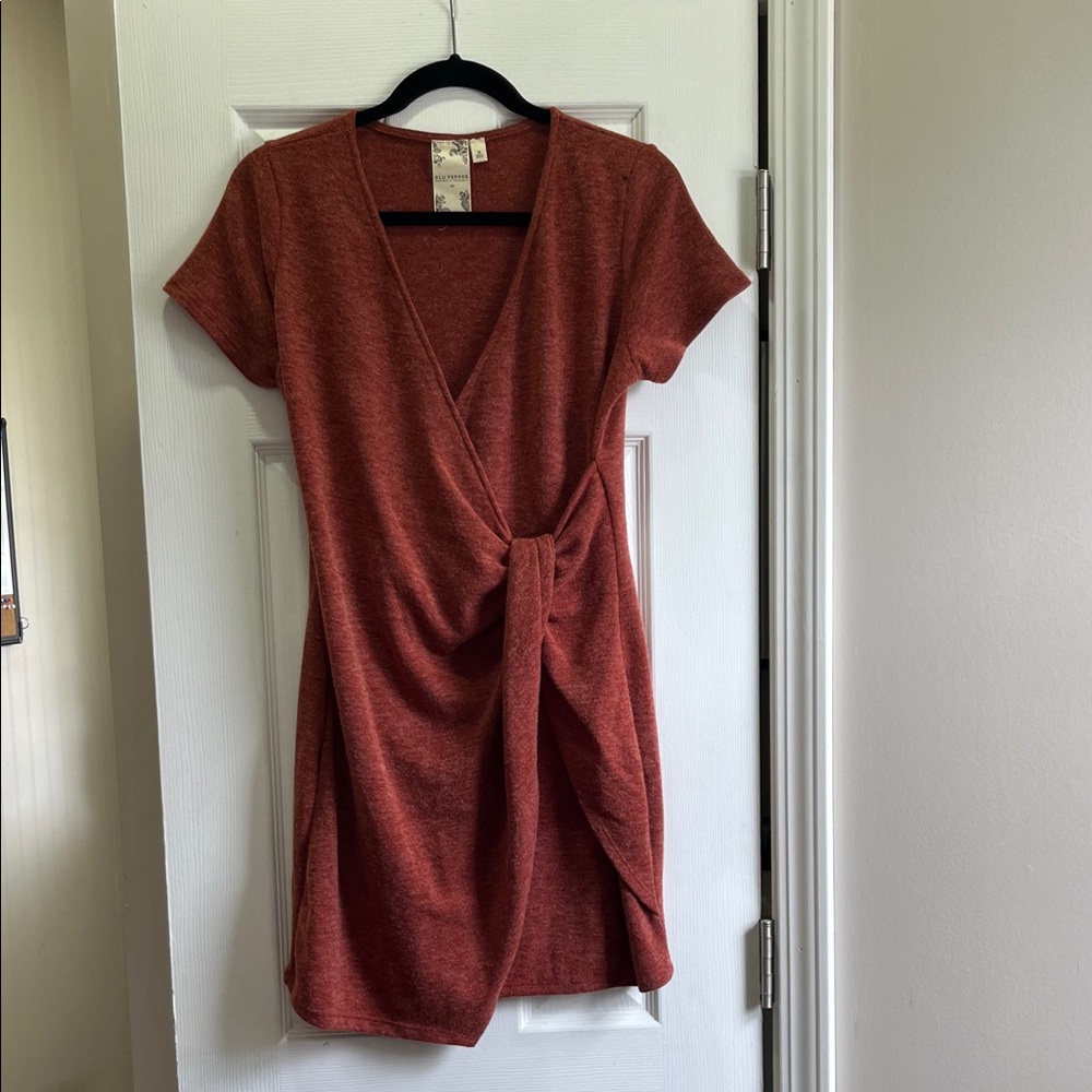 Blu Pepper Rust Mini Dress